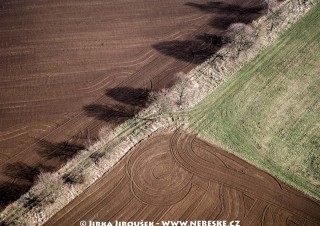 Pole a stromořadí u Řísnice /J223