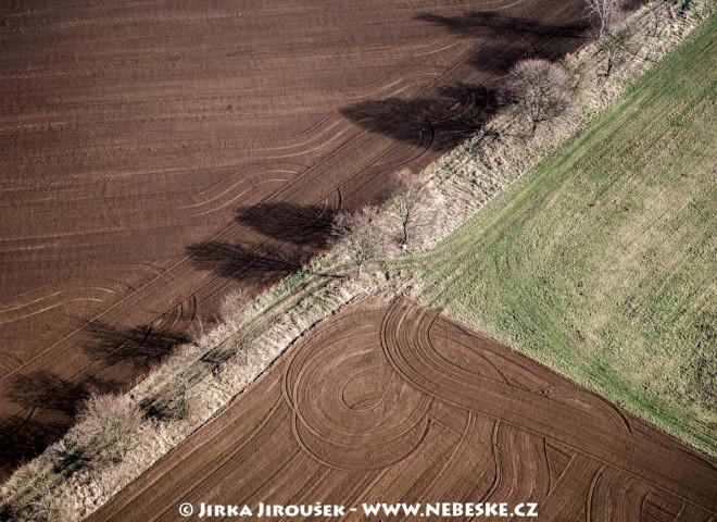 Pole a stromořadí u Řísnice /J223