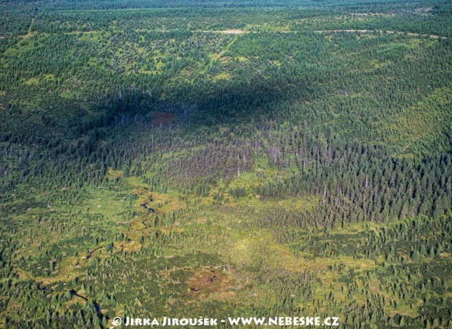 Pavlova planina, rezervace Klečové louky, říčka Bílá Smědá /J374