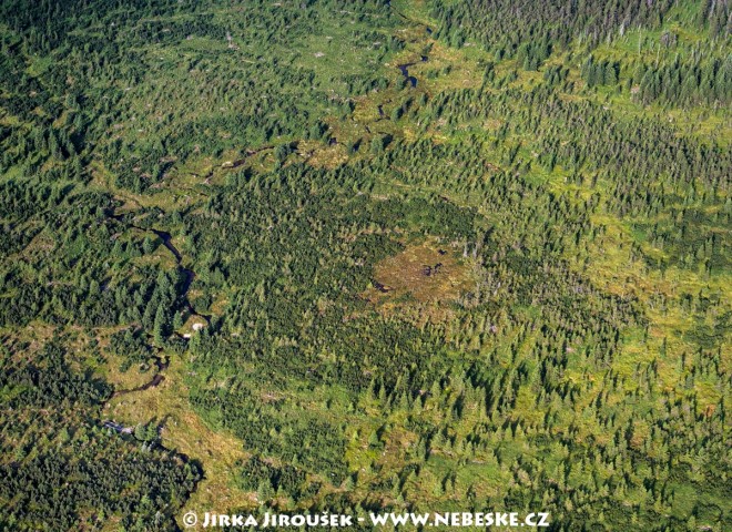 Bílá Smědá, rašeliniště na Pavlově planině /J375