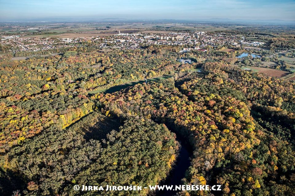 Břeclav – podzimní lesy J1831