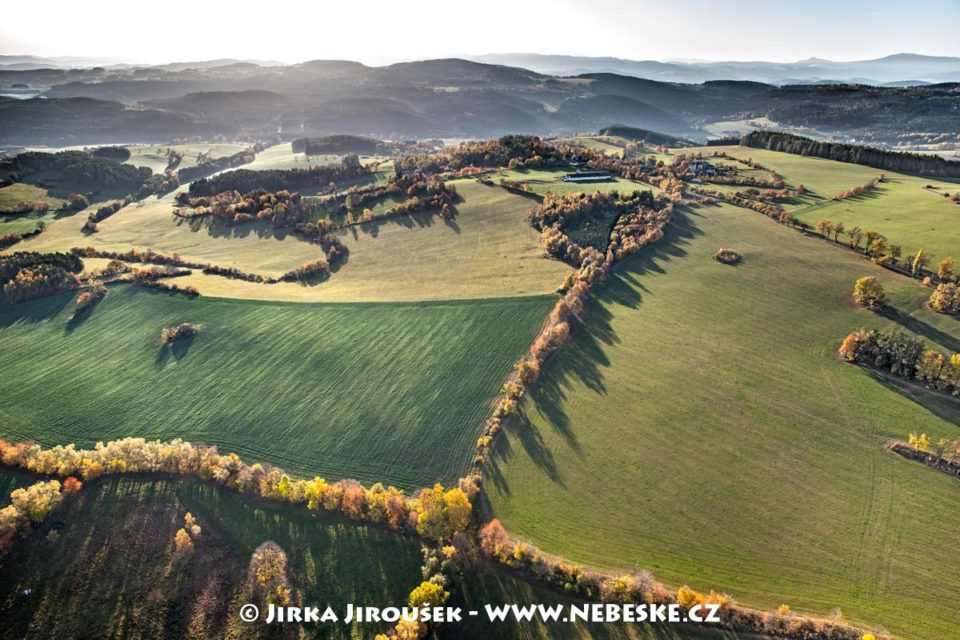 Podzim u Dobrše J1966