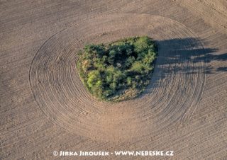 Remízek ostrůvek J2781