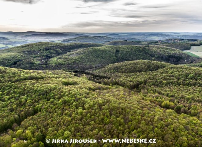 Lesy Českého krasu u Karlštejna J3059