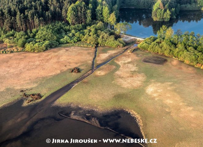 Krmení ryb na Třeboňsku J3251