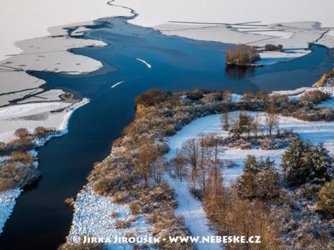 Rybník Rožmberk v zimě J3324