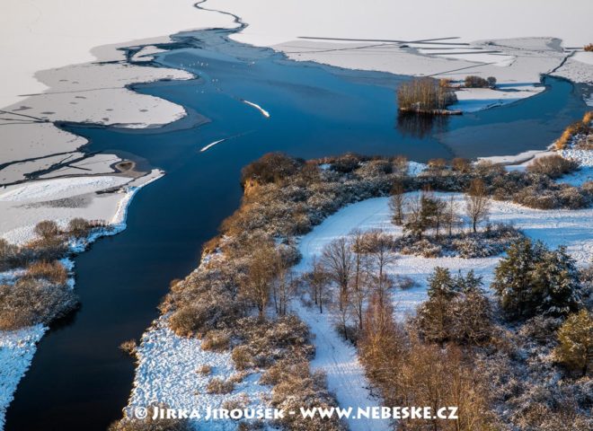 Rybník Rožmberk v zimě J3324