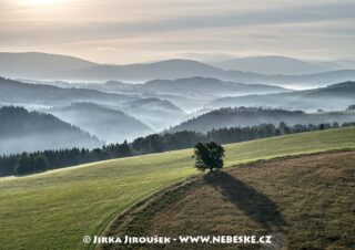 Strom u Hedeče J3590