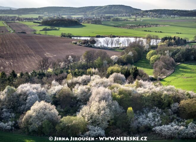 Jaro u Pičína J4267