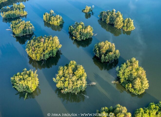 Přírodní rezervace Staré jezero J4687