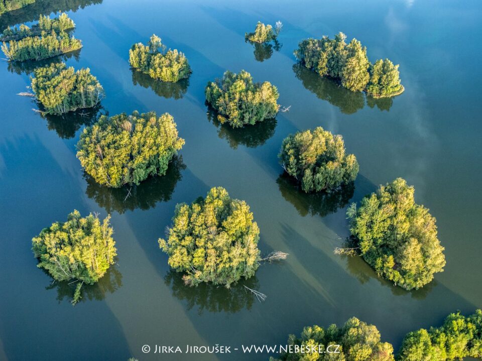 Přírodní rezervace Staré jezero J4687