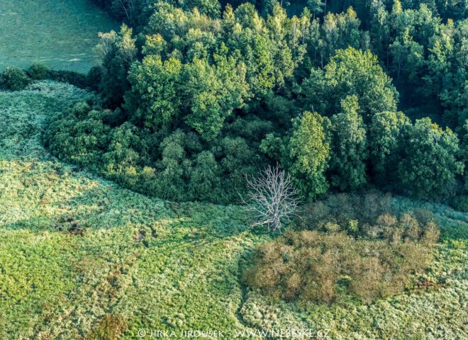 Poblíž samoty U Tikalských J4696