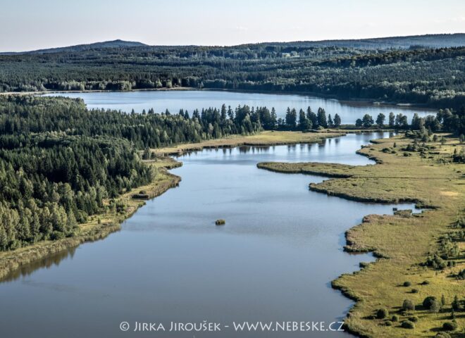 Padrťské rybníky srpen 2017 J5267